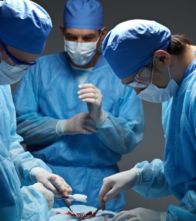 xr:d:DAFb1vZ2inA:3,j:47798475120,t:23022806